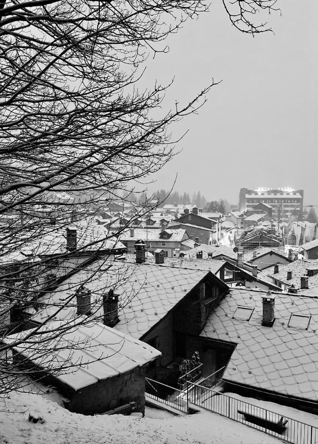 Chalet Blanc "Coeur Sapin" Courmayeur Exteriér fotografie